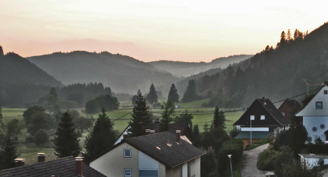 Urseetalblick Apartamento Lenzkirch Exterior foto